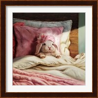 Bed Hare Fine Art Print