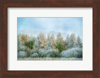 Winter Wonderland Fine Art Print