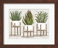 Succulent Trio on Stands Fine Art Print