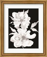Black & White Flowers I Fine Art Print