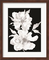 Black & White Flowers I Fine Art Print