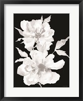 Black & White Flowers I Framed Print