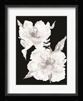 Black & White Flowers II Framed Print