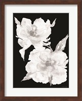 Black & White Flowers II Fine Art Print