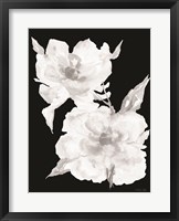 Black & White Flowers II Framed Print
