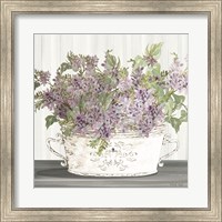 Lilac Galvanized Pot Fine Art Print
