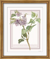 Lilacs V Fine Art Print