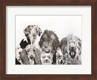 Lots of Dogs Fine Art Print