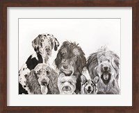 Lots of Dogs Fine Art Print