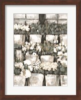 Rows of Flowers Fine Art Print
