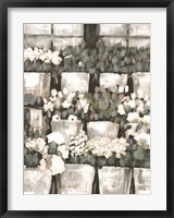 Rows of Flowers Fine Art Print