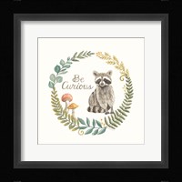 Be Curious Raccoon Framed Print