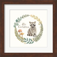 Be Curious Raccoon Fine Art Print