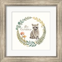 Be Curious Raccoon Fine Art Print