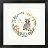 Be Curious Raccoon Framed Print