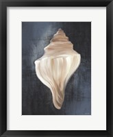 Conch Shell Blues I Fine Art Print