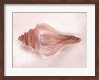 Conch Shell Blush I Fine Art Print