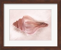 Conch Shell Blush I Fine Art Print