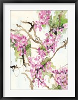 Wisteria in Bloom Fine Art Print