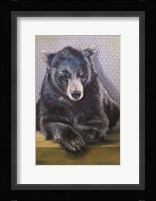 Black Bear Fine Art Print
