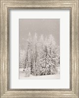 Snowy Lava Mountain Fine Art Print