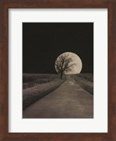 Moonlit Country Road Fine Art Print