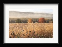 Autumn Shades Fine Art Print