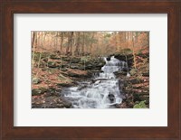 Waterfall Steps at Pigeon Run Fine Art Print