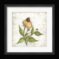 Bloomin' Coneflowers Framed Print
