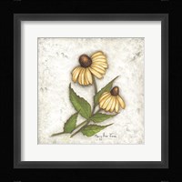 Yellow Coneflowers Fine Art Print