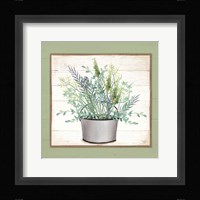 Pot of Herbs II Framed Print