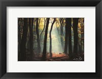 Forest Blues Fine Art Print