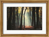 Forest Blues Fine Art Print