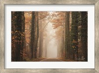 Foggy Autumn Road Fine Art Print