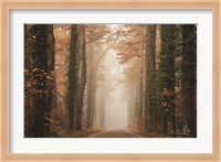 Foggy Autumn Road Fine Art Print