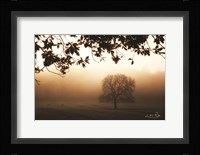 Under the Leaves Fine Art Print