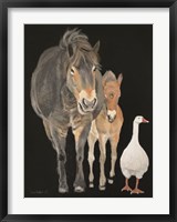 Farmyard Trio Fine Art Print
