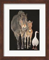 Farmyard Trio Fine Art Print