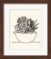 Succulent Basket I Fine Art Print