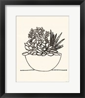 Succulent Basket I Framed Print