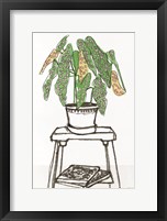 House Plant Study I Fine Art Print