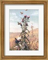 Meadow Butterflies Fine Art Print