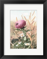 Meadow Flowers 1 Fine Art Print