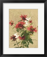 Meadow Flowers 3 Framed Print