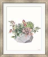 Watercolor Succulents Fine Art Print