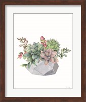 Watercolor Succulents Fine Art Print