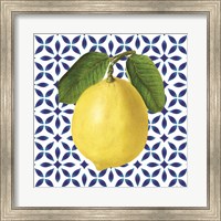 Mediterranean Lemon Fine Art Print