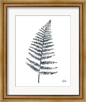 Fern I Fine Art Print