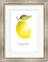Single Lemon Fine Art Print