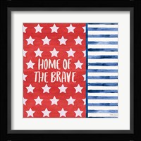 Americana Style VII Framed Print